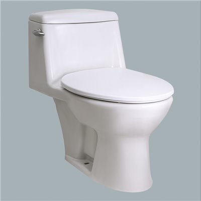 C4289PAdbT(AW)